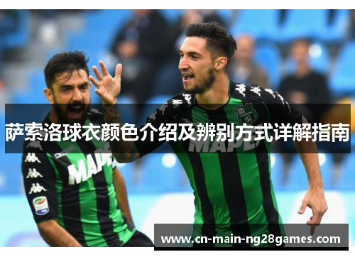 萨索洛球衣颜色介绍及辨别方式详解指南