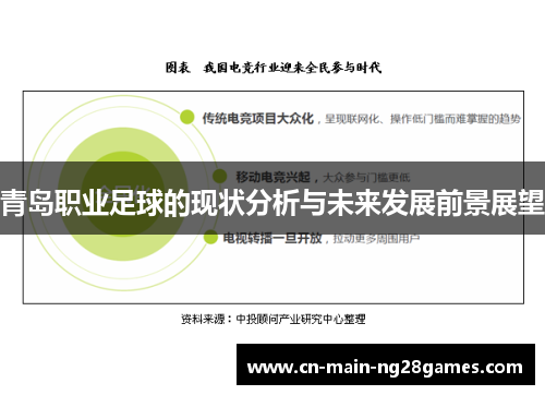 青岛职业足球的现状分析与未来发展前景展望