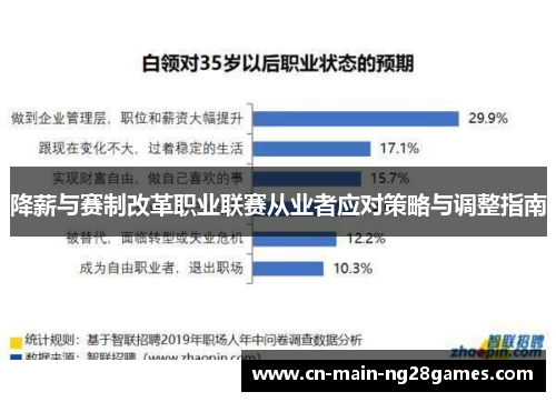 降薪与赛制改革职业联赛从业者应对策略与调整指南