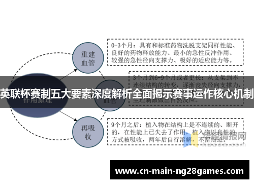 英联杯赛制五大要素深度解析全面揭示赛事运作核心机制